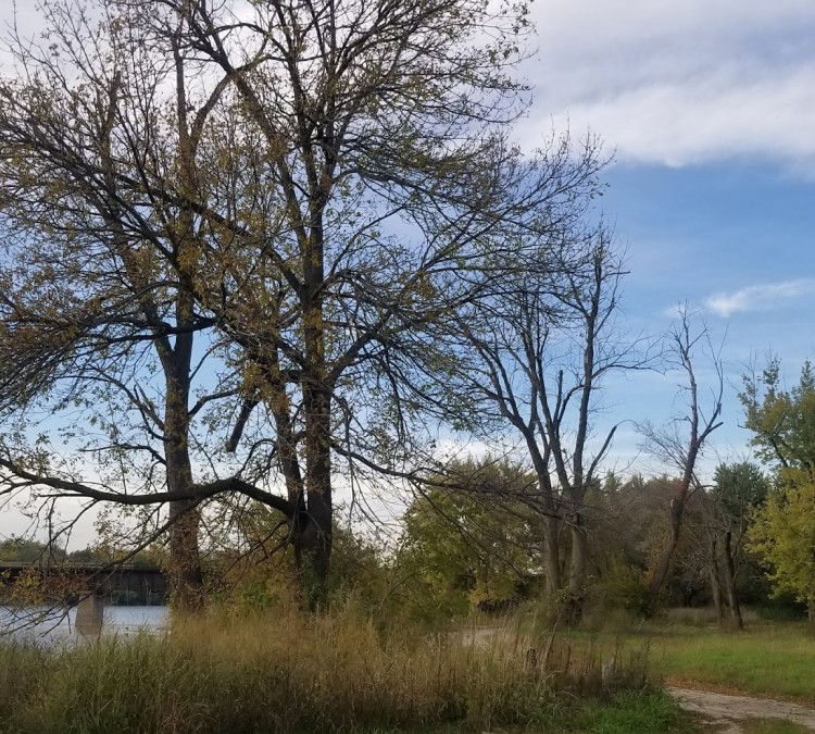 Iowa River Canoe Access 3 (Columbus&nbspJunction,&nbspIA)